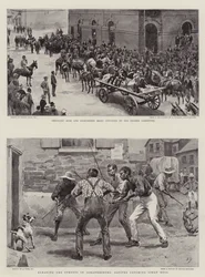 The Transvaal Crisis